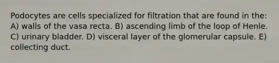 Podocytes are cells specialized for filtration that are found in the: A) walls of the vasa recta. B) ascending limb of the loop of Henle. C) urinary bladder. D) visceral layer of the glomerular capsule. E) collecting duct.