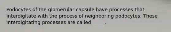 Podocytes of the glomerular capsule have processes that Interdigitate with the process of neighboring podocytes. These interdigitating processes are called _____.