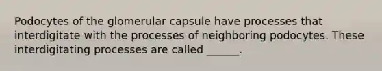 Podocytes of the glomerular capsule have processes that interdigitate with the processes of neighboring podocytes. These interdigitating processes are called ______.