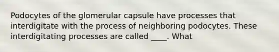 Podocytes of the glomerular capsule have processes that interdigitate with the process of neighboring podocytes. These interdigitating processes are called ____. What