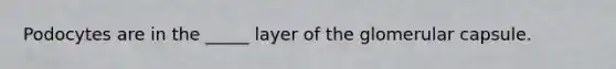 Podocytes are in the _____ layer of the glomerular capsule.
