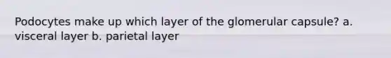 Podocytes make up which layer of the glomerular capsule? a. visceral layer b. parietal layer
