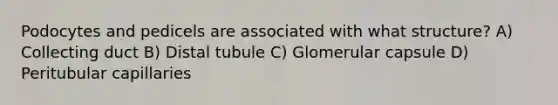 Podocytes and pedicels are associated with what structure? A) Collecting duct B) Distal tubule C) Glomerular capsule D) Peritubular capillaries