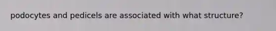 podocytes and pedicels are associated with what structure?