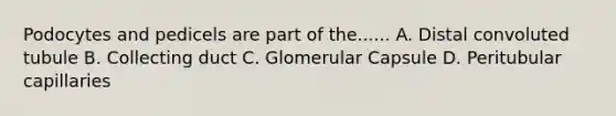 Podocytes and pedicels are part of the...... A. Distal convoluted tubule B. Collecting duct C. Glomerular Capsule D. Peritubular capillaries