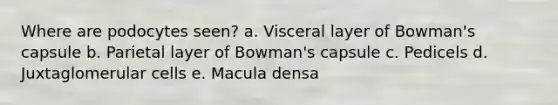 Where are podocytes seen? a. Visceral layer of Bowman's capsule b. Parietal layer of Bowman's capsule c. Pedicels d. Juxtaglomerular cells e. Macula densa