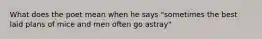 What does the poet mean when he says "sometimes the best laid plans of mice and men often go astray"