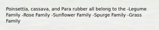 Poinsettia, cassava, and Para rubber all belong to the -Legume Family -Rose Family -Sunflower Family -Spurge Family -Grass Family