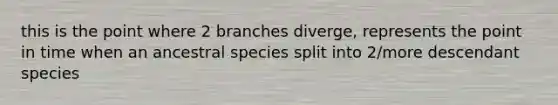 this is the point where 2 branches diverge, represents the point in time when an ancestral species split into 2/more descendant species