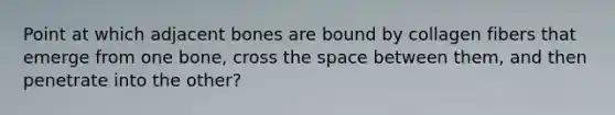 Point at which adjacent bones are bound by collagen fibers that emerge from one bone, cross the space between them, and then penetrate into the other?