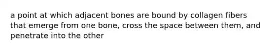 a point at which adjacent bones are bound by collagen fibers that emerge from one bone, cross <a href='https://www.questionai.com/knowledge/k0Lyloclid-the-space' class='anchor-knowledge'>the space</a> between them, and penetrate into the other