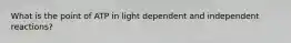 What is the point of ATP in light dependent and independent reactions?