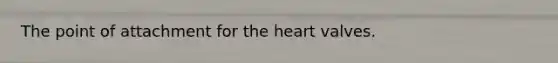 The point of attachment for the heart valves.