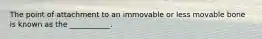 The point of attachment to an immovable or less movable bone is known as the ___________.
