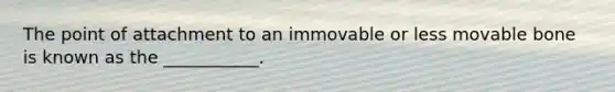 The point of attachment to an immovable or less movable bone is known as the ___________.