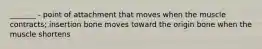 _______ - point of attachment that moves when the muscle contracts; insertion bone moves toward the origin bone when the muscle shortens