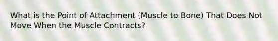 What is the Point of Attachment (Muscle to Bone) That Does Not Move When the Muscle Contracts?