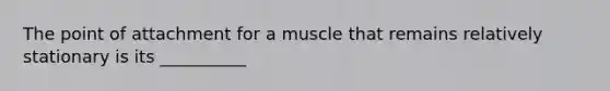 The point of attachment for a muscle that remains relatively stationary is its __________