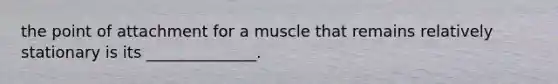 the point of attachment for a muscle that remains relatively stationary is its ______________.