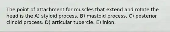 The point of attachment for muscles that extend and rotate the head is the A) styloid process. B) mastoid process. C) posterior clinoid process. D) articular tubercle. E) inion.