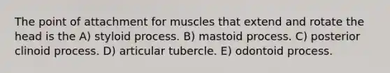 The point of attachment for muscles that extend and rotate the head is the A) styloid process. B) mastoid process. C) posterior clinoid process. D) articular tubercle. E) odontoid process.