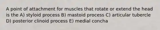 A point of attachment for muscles that rotate or extend the head is the A) styloid process B) mastoid process C) articular tubercle D) posterior clinoid process E) medial concha