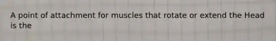 A point of attachment for muscles that rotate or extend the Head is the