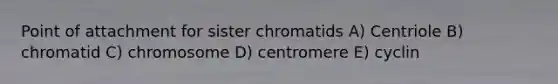 Point of attachment for sister chromatids A) Centriole B) chromatid C) chromosome D) centromere E) cyclin