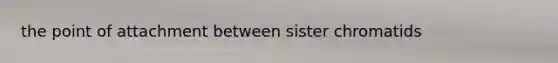 the point of attachment between sister chromatids