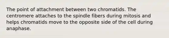 The point of attachment between two chromatids. The centromere attaches to the spindle fibers during mitosis and helps chromatids move to the opposite side of the cell during anaphase.