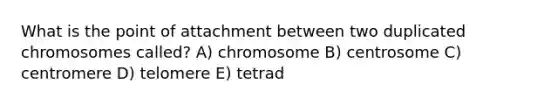 What is the point of attachment between two duplicated chromosomes called? A) chromosome B) centrosome C) centromere D) telomere E) tetrad