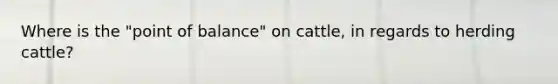 Where is the "point of balance" on cattle, in regards to herding cattle?