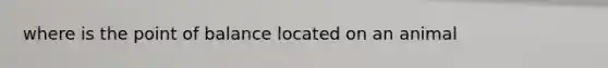 where is the point of balance located on an animal