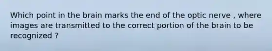 Which point in the brain marks the end of the optic nerve , where images are transmitted to the correct portion of the brain to be recognized ?