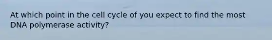 At which point in the cell cycle of you expect to find the most DNA polymerase activity?