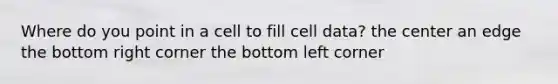 Where do you point in a cell to fill cell data? the center an edge the bottom right corner the bottom left corner