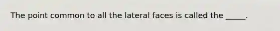 The point common to all the lateral faces is called the _____.