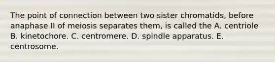 The point of connection between two sister chromatids, before anaphase II of meiosis separates them, is called the A. centriole B. kinetochore. C. centromere. D. spindle apparatus. E. centrosome.