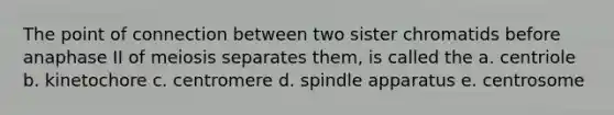 The point of connection between two sister chromatids before anaphase II of meiosis separates them, is called the a. centriole b. kinetochore c. centromere d. spindle apparatus e. centrosome