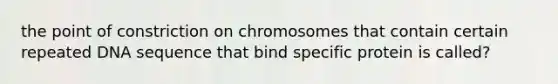 the point of constriction on chromosomes that contain certain repeated DNA sequence that bind specific protein is called?