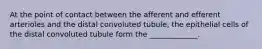 At the point of contact between the afferent and efferent arterioles and the distal convoluted tubule, the epithelial cells of the distal convoluted tubule form the _____________.