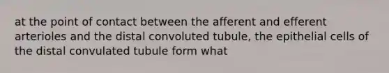 at the point of contact between the afferent and efferent arterioles and the distal convoluted tubule, the epithelial cells of the distal convulated tubule form what