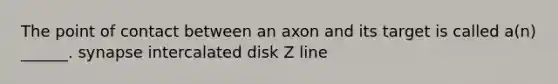 The point of contact between an axon and its target is called a(n) ______. synapse intercalated disk Z line