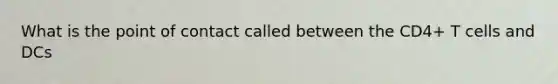 What is the point of contact called between the CD4+ T cells and DCs