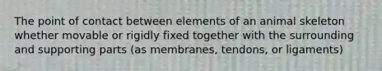 The point of contact between elements of an animal skeleton whether movable or rigidly fixed together with the surrounding and supporting parts (as membranes, tendons, or ligaments)