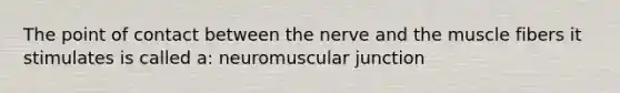 The point of contact between the nerve and the muscle fibers it stimulates is called a: neuromuscular junction