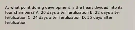 At what point during development is the heart divided into its four chambers? A. 20 days after fertilization B. 22 days after fertilization C. 24 days after fertilization D. 35 days after fertilization