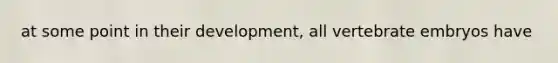at some point in their development, all vertebrate embryos have