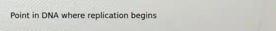 Point in DNA where replication begins