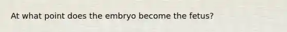 At what point does the embryo become the fetus?